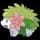 pokemon image