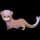 Pokemon Small Shiny Image for Default Form
