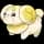 pokemon image