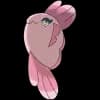 Pokemon Alomomola Image