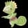 pokemon image