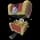 Pokemon Small Shiny Image for Chest Form