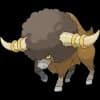 Pokemon Bouffalant Image
