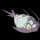 pokemon image