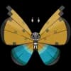 Pokemon Vivillon Image