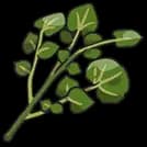 Bitter Herba Mystica sprite