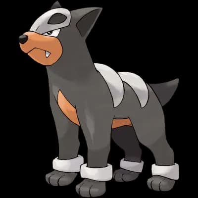 Pokemon Main Image for Default Form