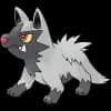 Pokemon Poochyena Image