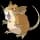 Pokemon Raticate - Default Form Image