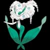 Pokemon Florges Image
