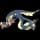 pokemon image