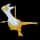 Pokemon Small Shiny Image for Default Form