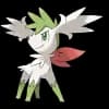 Pokemon Shaymin Image