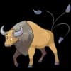 Pokemon Tauros Image