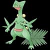 Pokemon Sceptile Image