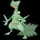 pokemon image