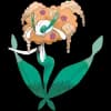 Pokemon Florges Image