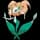 pokemon image