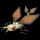 Pokemon Small Shiny Image for Default Form