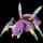 Pokemon Small Shiny Image for Default Form