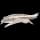 Pokemon Linoone - Default Form Image