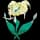 pokemon image