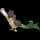 Pokemon Small Main Image for Galarian Form