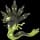 pokemon image
