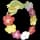 pokemon image