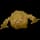 Pokemon Small Shiny Image for Default Form
