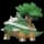 pokemon image