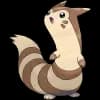 Pokemon Furret Image