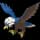 Pokemon Small Shiny Image for Default Form