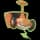 pokemon image