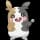 Pokemon Small Shiny Image for Full Belly Mode