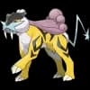 Pokemon Raikou Image