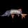 Pokemon Small Shiny Image for Default Form