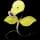 Pokemon Small Shiny Image for Default Form