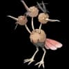 Pokemon Dodrio Image
