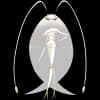 Pokemon Pheromosa Image